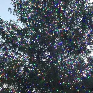 Meet your Posher, Carley